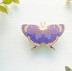 Colorado Hairstreak Butterfly (Hypaurotis crysalus) Enamel Pin