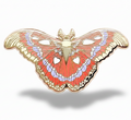 Atlas Moth (Attacus atlas) Enamel Pin