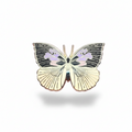 California Dogface Butterfly (Zerene eurydice) Enamel Pin