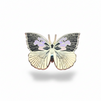 California Dogface Butterfly (Zerene eurydice) Enamel Pin