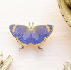 Colorado Hairstreak Butterfly (Hypaurotis crysalus) Enamel Pin