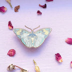 Widespread Forester Butterfly (Euphaedra medon) Enamel Pin