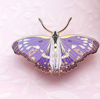 Lesser Purple Emperor Butterfly (Apatura ilia) Enamel Pin