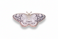 Paper Kite Butterfly (Idea leuconoe) Enamel Pin