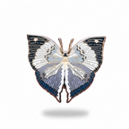 Blue Oakleaf Butterfly (Kallima horsfieldii) Enamel Pin