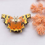 Comma Butterfly (Polygonia c-album) Enamel Pin
