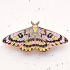 Sheep Moth (Hemileuca eglanterina) Enamel Pin