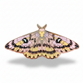 Sheep Moth (Hemileuca eglanterina) Enamel Pin