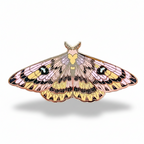 Sheep Moth (Hemileuca eglanterina) Enamel Pin