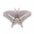 Paris Peacock Butterfly (Papilio paris) Enamel Pin