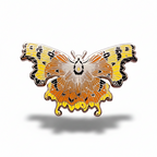 Comma Butterfly (Polygonia c-album) Enamel Pin