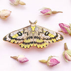 Sheep Moth (Hemileuca eglanterina) Enamel Pin